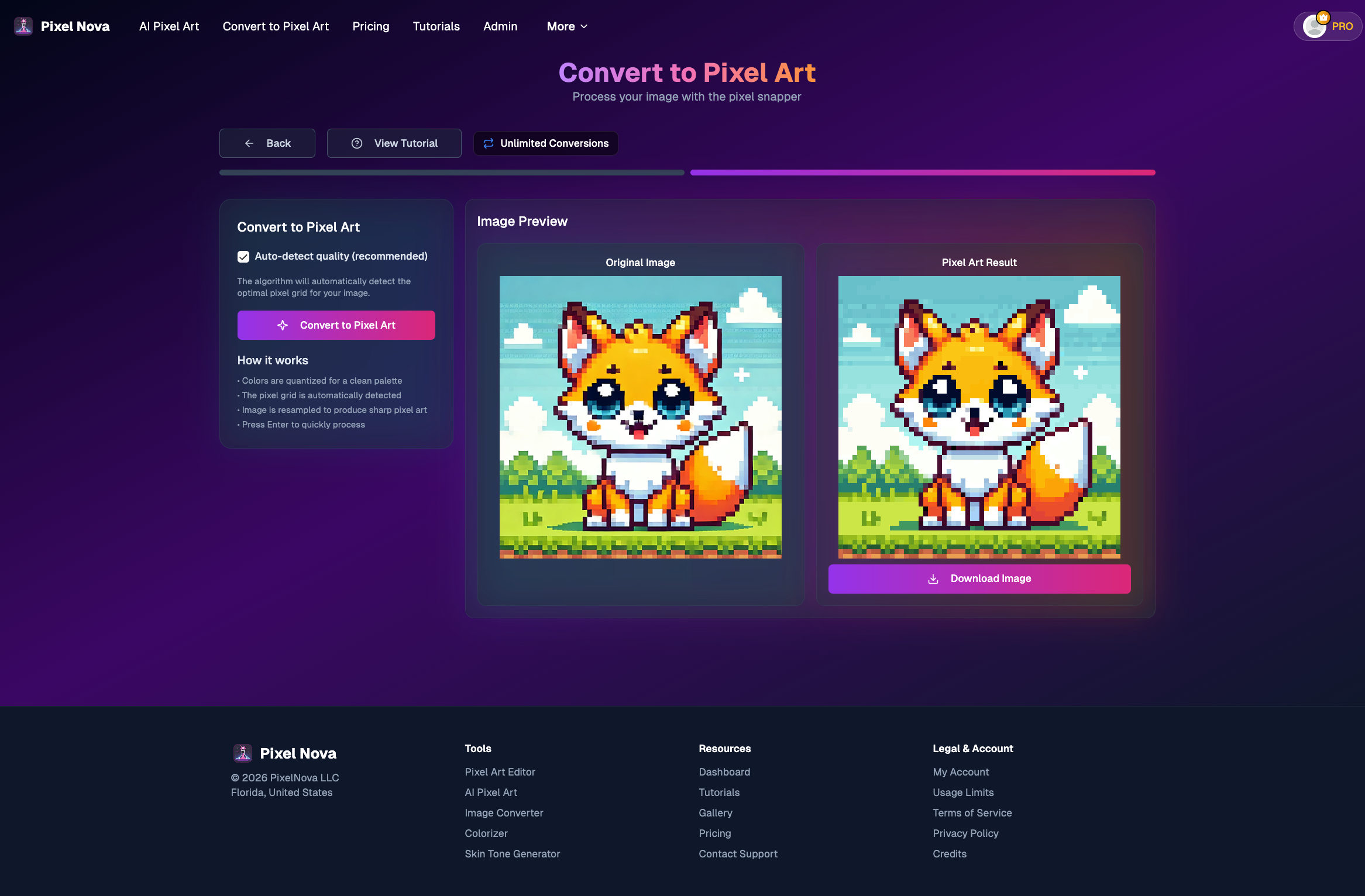 PixelNova conversion tool showing the original image on the left and the pixel art conversion on the right